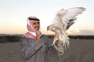 صقار مشارك في المسابقات﻿