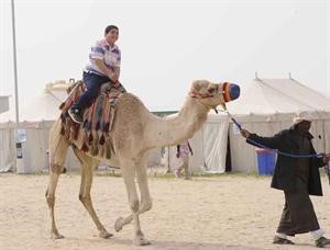 ركوب الجمل
