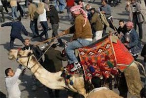 محكمة النقض تنظر في طعن النيابة العامة على براءة المتهمين بموقعة الجمل في 8 مايو
