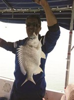النوخذة نوخذة مافي كلام