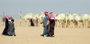 المهرجان ساهم في توثيق العلاقات بين المشاركين﻿