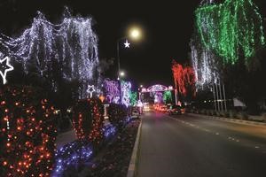 الشوارع والاشجار تزينت بالاضواء