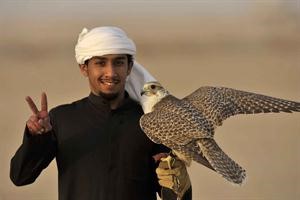 احد الصقارين اثناء السباق