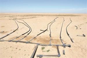 5 جزر نباتية متقاربة﻿
