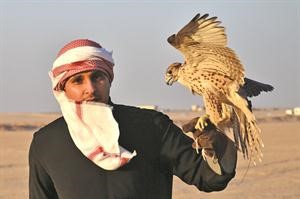 جانب من مسابقة الصقور﻿