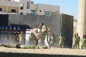 كفاءة عالية في الفنون القتالية