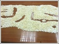 190 حبة كابتي مع «مطلوب» على الطريق الساحلي