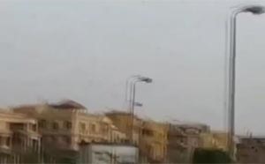 بالفيديو.. أسراب «مليونية» من الجراد غزت مصر وبلغت شقة الرئيس