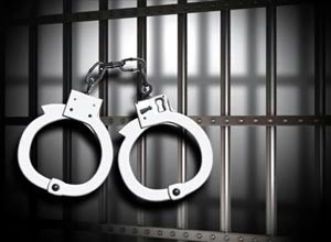 الشرطة الهولندية تعتقل فتاة رومانية يشتبه بضلوعها في سرقة لوحات فنية نادرة