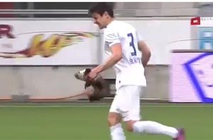 بالفيديو.. حيوان بري يعض لاعبا خلال مباراة لكرة القدم في الدوري السويسري ويعطل المباراة