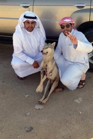 المواطنان رجا الهاجري ومبارك السبيعي