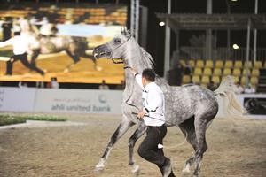 البطولة شهدت مشاركة افضل الجياد