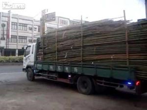 بالفيديو.. أغرب طريقة لتفريغ شاحنة في دقيقتَيْن