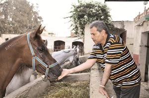 يطعم خيله بيده