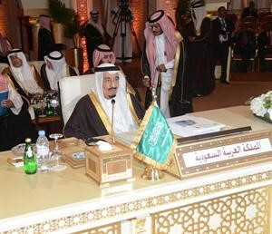 صاحب السمو الملكي الامير سلمان بن عبدالعزيز خلال القمة﻿