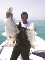 نقرور وطريجعي
