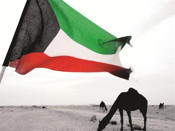 مسابقة التصوير الفوتوغرافي لحماية البيئة