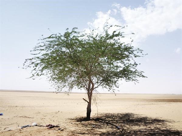 مسابقة التصوير الفوتوغرافي لحماية البيئة