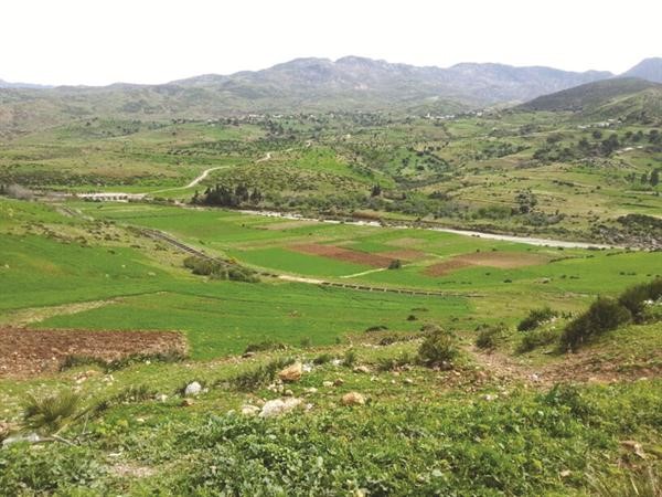 سحر الطبيعة في مدينة شفشاون جعلها واحة للتعايش المشترك
