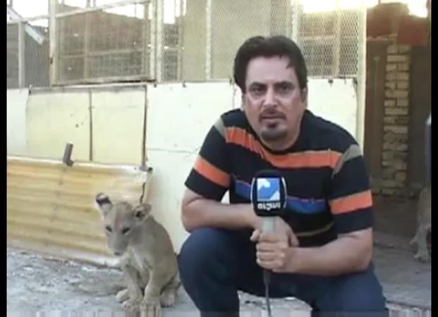 بالفيديو .. «أسد» يجبر مذيعاً عراقياً يصور تحقيقاً مباشراً على القفز خوفاً