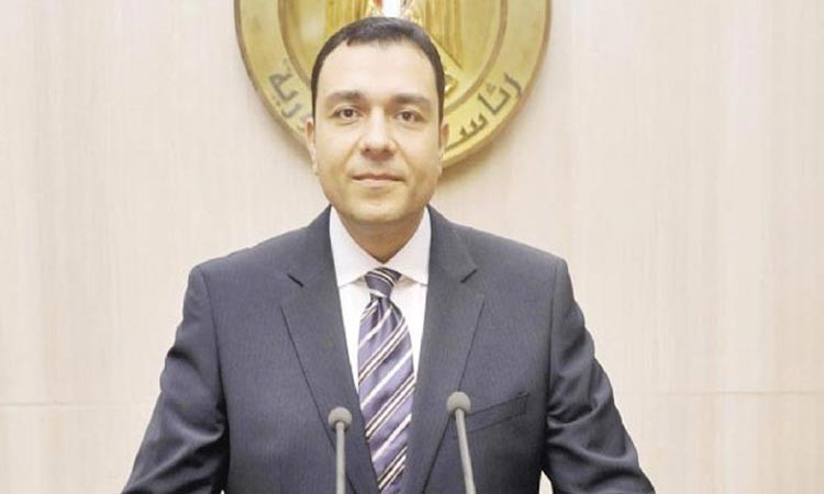 السفير ايهاب فهمي