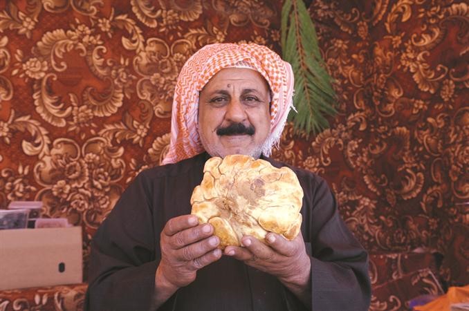 رعد الصحراء له عشاقه﻿