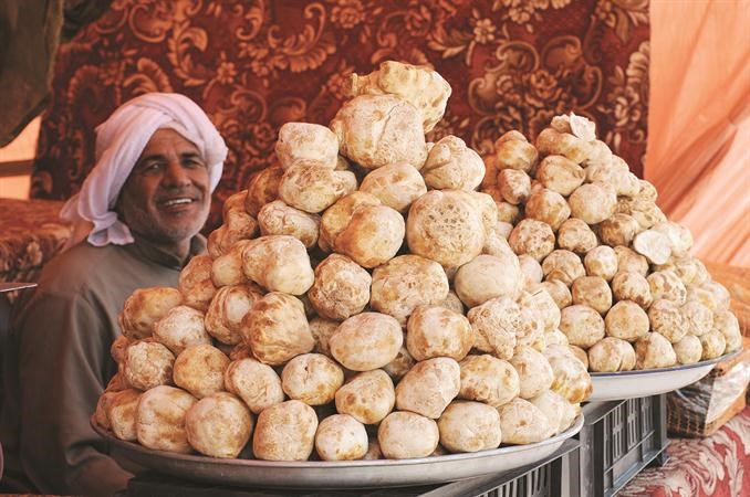 الفقع متوافر واسعاره مناسبة﻿