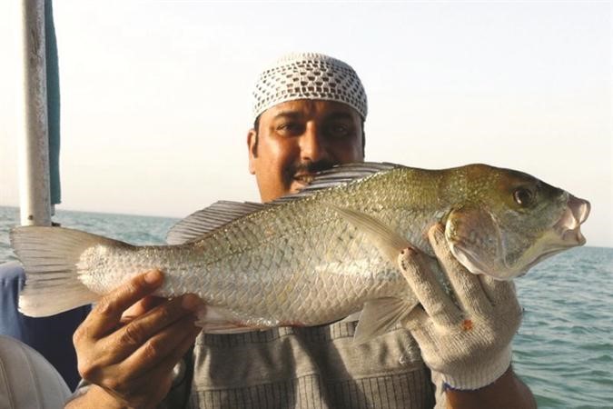 عبداللطيف القضاع مع النقرور العجيب﻿