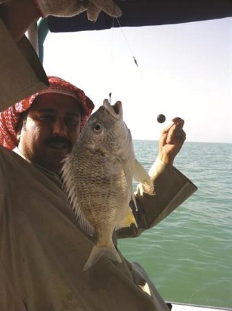 شعم روعة﻿