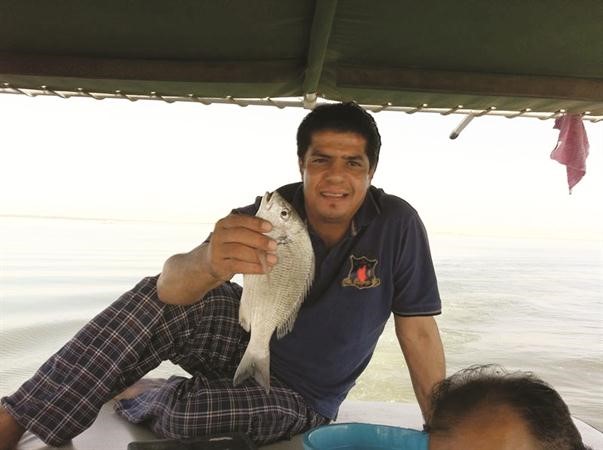 شعم المحادقة الشمالية
