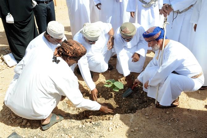 زراعة الاشجار