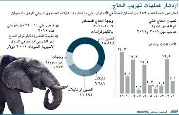 ازدهار عمليات تهريب العاج في أفريقيا