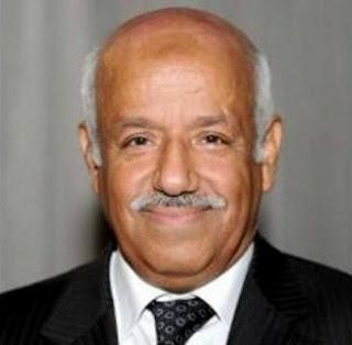 المستشار احمد سليمان