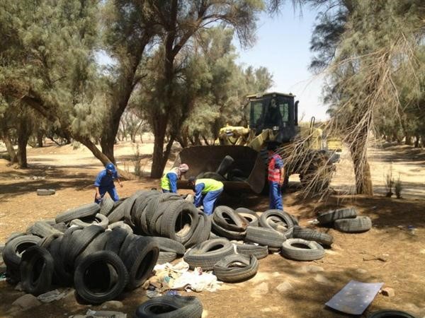 تنظيف منطقة تحريج الاشجار على طريق الدائري السادس