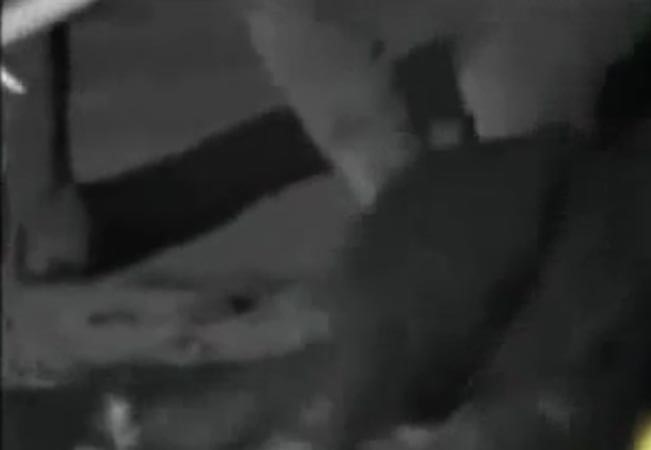 فيديو مؤثر لموت عائلة من الفيلة!