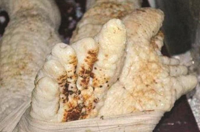 كائن فضائي في الثلاجة