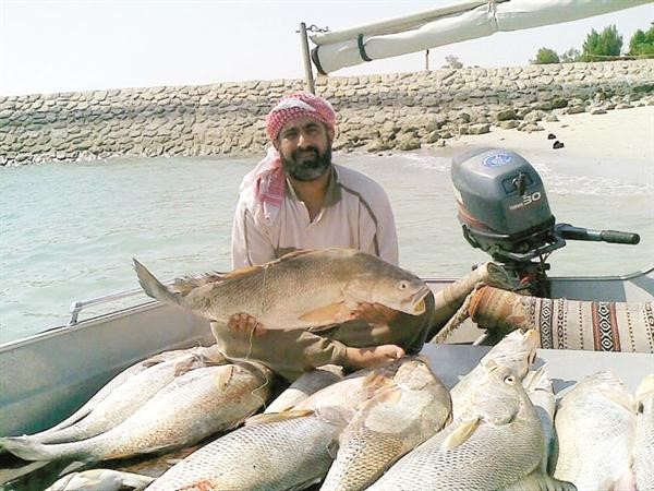 شماهية الجنوب العملاقة﻿