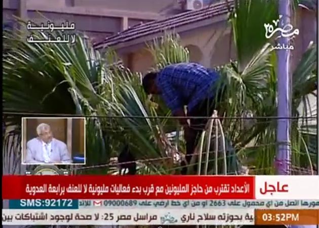 بالفيديو.. متظاهر مصري مؤيد للرئيس يصلي فوق نخلة في مليونية لا للعنف