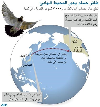اكتشاف نوع جديد من الطيور في العاصمة الكمبودية