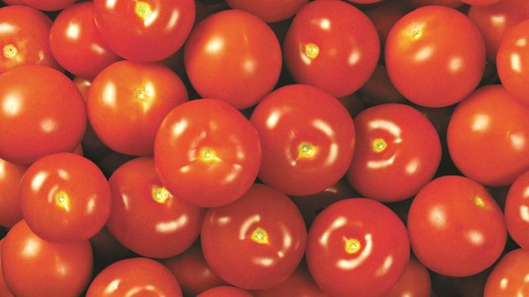 بريق الطماطم لا يعني بالضرورة انها طازجة فقد يكون بفعل المبيدات الضارة﻿