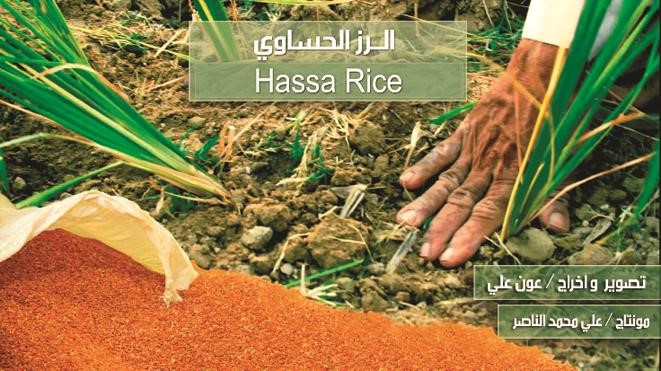  بوستر فيلم الرز الحساوي ﻿