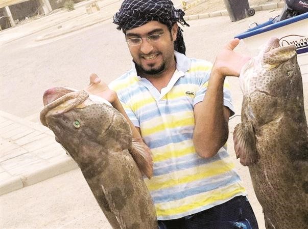 ما شاء الله على الهامور