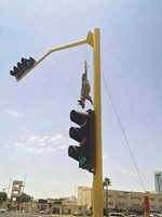 الذئب معلق بالعمود﻿