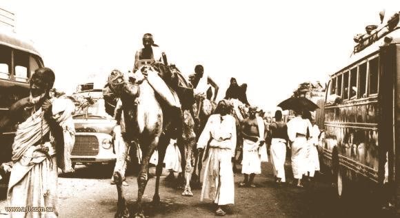 الحج على الجمال قديما