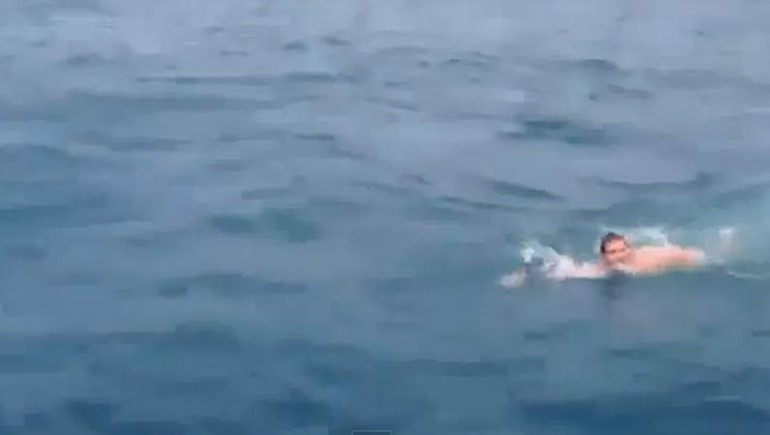 بالفيديو..  رجل يقفز فوق سمك القرش ويسبح معه