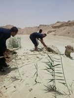 رجال مركز اطفاء الجهراء الحرفي خلال محاولات انتشال الناقة 