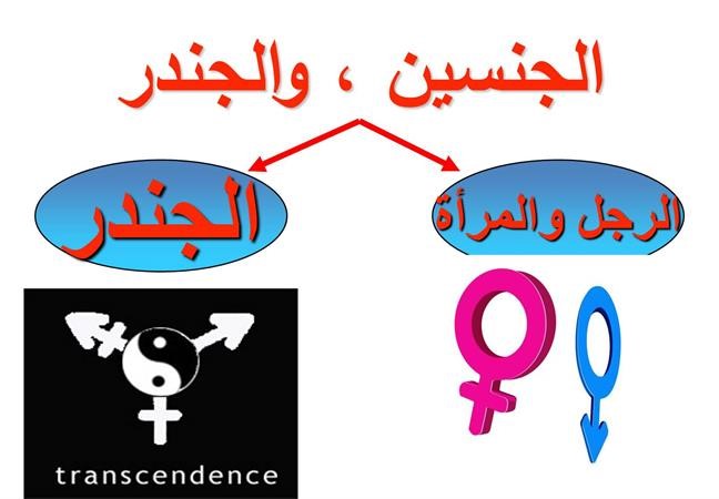 المساواة بين الجنسين اهدافها غير بريئة