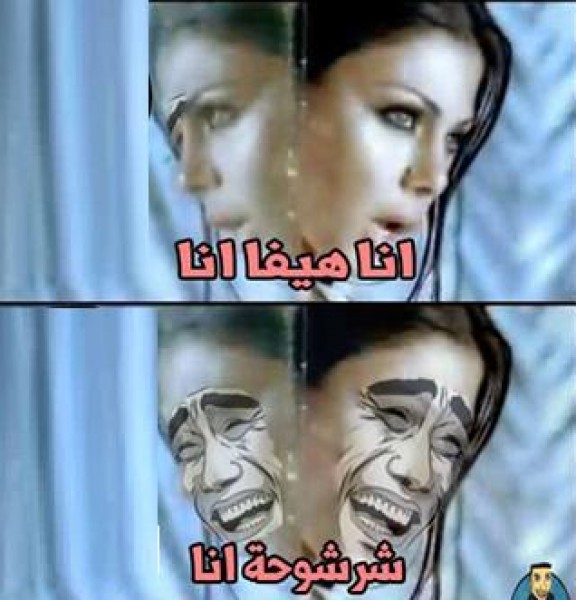 بالفيديو.. هيفاء وهبي " تركل " رامز وتطلق سيلاً من الشتائم  .. وكيف رد الفيسبوكيين على ألفاظها النابية