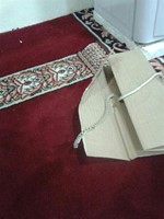 الافعى قبل قتلها داخل المسجد﻿