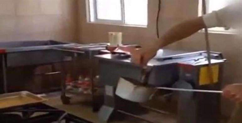 بالفيديو.. جندي يقلي عصفوراً على قيد الحياة دون رحمة